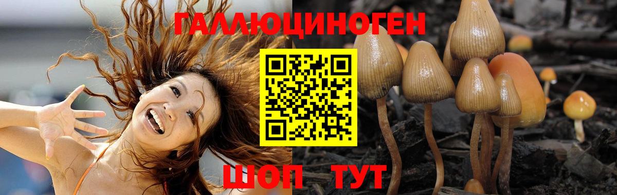 Псилоцибиновые грибы Magic Shrooms Карталы